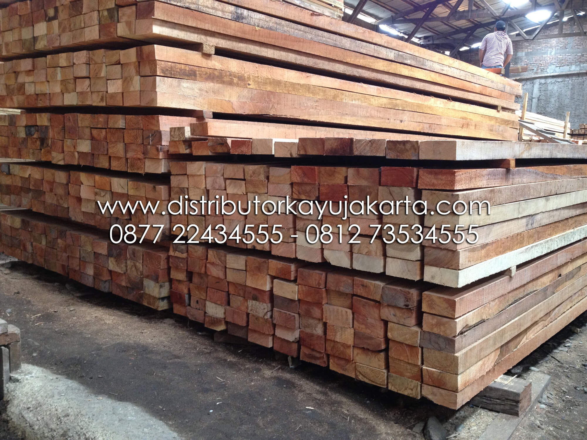 Kayu Meranti Distributor Kayu Jakarta